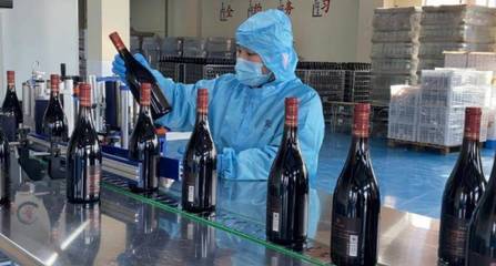 好品山東|青島西海岸新區(qū):著力做強精深加工 加快藍莓全產(chǎn)業(yè)鏈發(fā)展