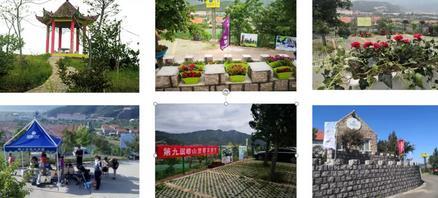 2020第十屆青島嶗山藍莓采摘節于6月5日正式開啟!致敬逆行者,免費送門票!