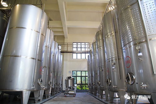 搶 雙十一 規(guī)模全國前三 西海岸本土紫斐藍莓酒不減價不狂歡 壕氣送送送