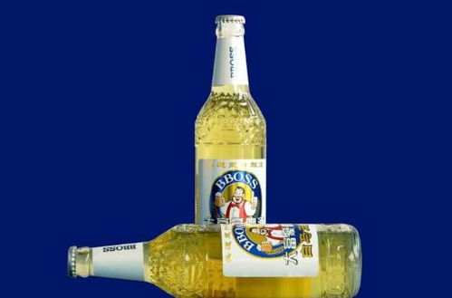 探尋各地特色啤酒 青島藍(lán)莓酒的獨(dú)特魅力